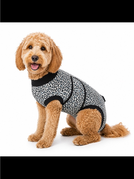 Kuoser Other - Kuoser Dog surgery dog suit.  NWT